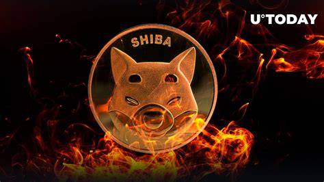 Shiba Inu Burn Rate Jumps 300 With Nearly 2 Billion SHIB Burned In