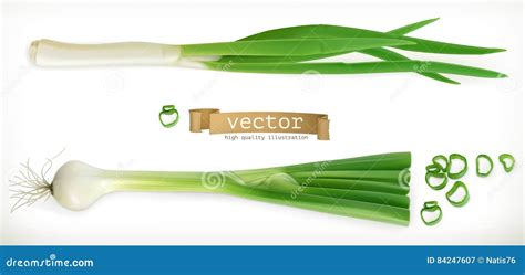 Cebolla Verde Icono Vegetal Del Vector Ilustraci N Del Vector