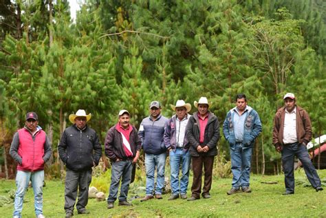 Descubre la Importancia del Comisariado Ejidal y Quiénes lo Conforman