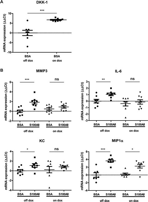 Induction of Canonical Wnt Signaling by the Alarmins S100A8/A9 in Murine Knee Joints ...