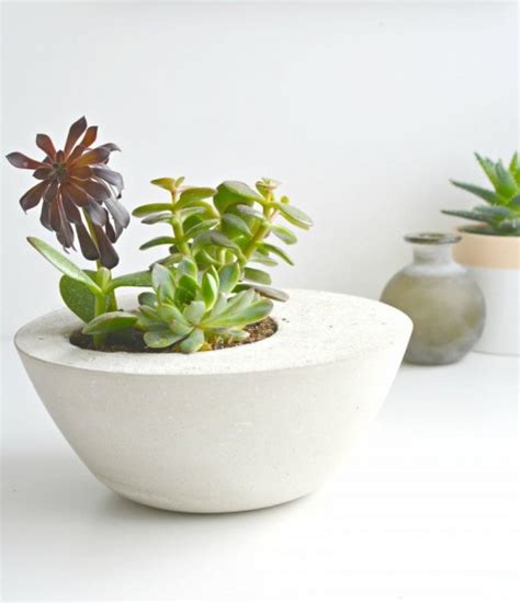 diy concrete planters Archives - Shelterness