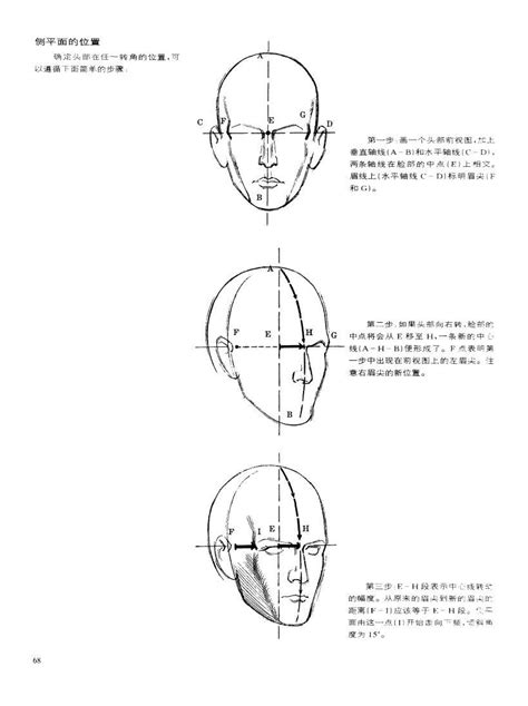 动态素描头部结构 头部动态 伯恩霍加思 搜狐大视野 搜狐新闻