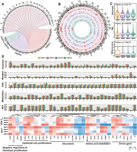 Multi Omics Characterizations In The Pan Cancer Subgroups According To