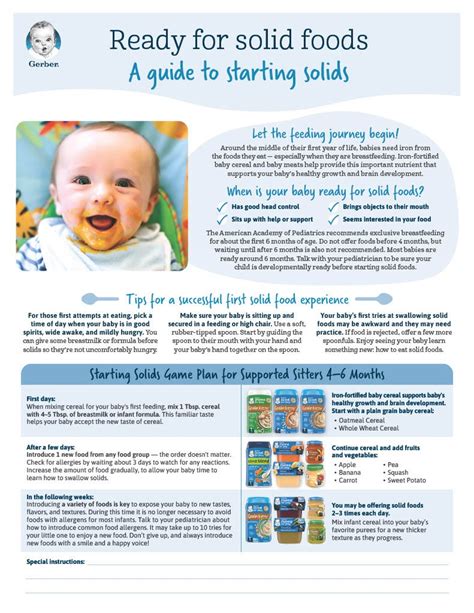 Step By Step Guide To Starting Solids Infographic Gerber