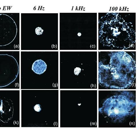 Suppression of the coffee stain effect illustrated for different ...