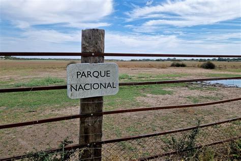 El colapso ecológico de Doñana cinco evidencias científicas Información