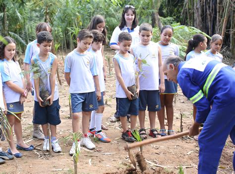 Pesquisa aponta retorno social de entidades filantrópicas Notícias