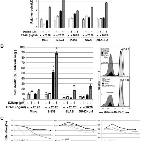 Expression Of CFLIP MRNA In B Lymphocytes And Different NHL Cells A