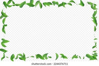 Swamp Leaf Motion Vector Transparent Background Stock Vector Royalty