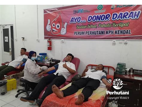 Perhutani Perhutani Bersama Pmi Cabang Kabupaten Kendal Adakan Donor