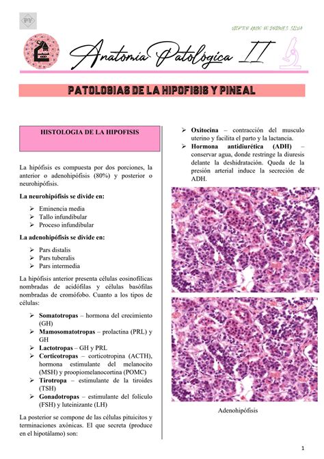 SOLUTION Patologias De La Hipofisis Y Pineal Studypool