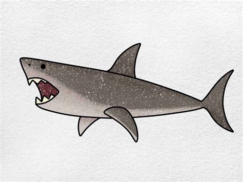 How to Draw a Megalodon - HelloArtsy