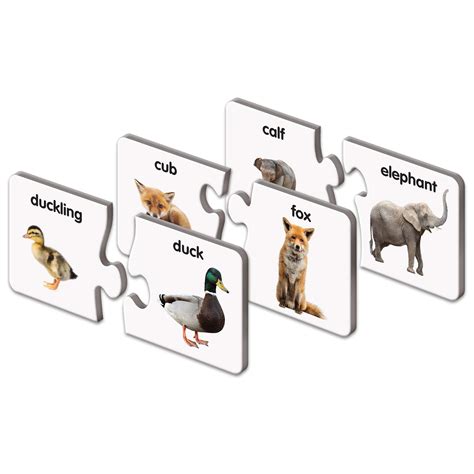 Buy The Learning Journey Match It Animal Families Learning