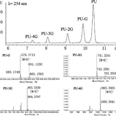 A Hplcdad Chromatograms Of The Transglycosylated Reaction Mixture