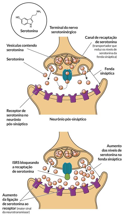 Farmacologia Do Sistema Nervoso Central