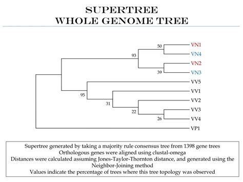 PPT Comparative Genomics Preliminary Results PowerPoint Presentation