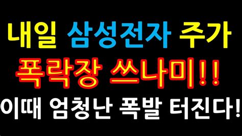 내일 삼성전자 주가 폭락장 쓰나미 이때 엄청난 폭발 터진다 Youtube