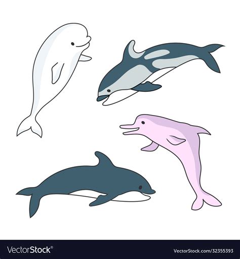 Four dolphins drawing cartoon color image Vector Image