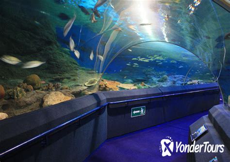 Underwater World Pattaya Tours Tickets Best Price Usd