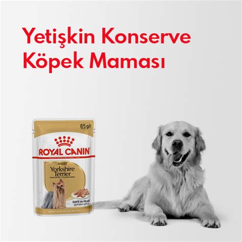 Royal Canin Köpek Maması Fiyatları Yaş ve Kuru Mamalar