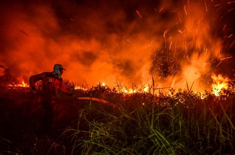 Haze Is Back In Malaysia Because Of Forest Fires In Indonesia