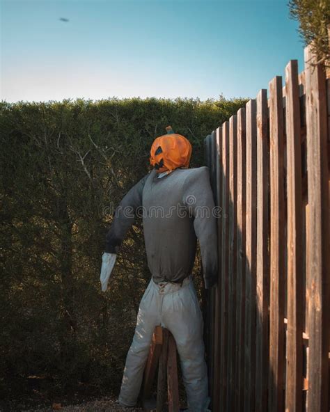 Vertical Shot Of A Scarecrow With Halloween Pumpkin On Its Head Stock