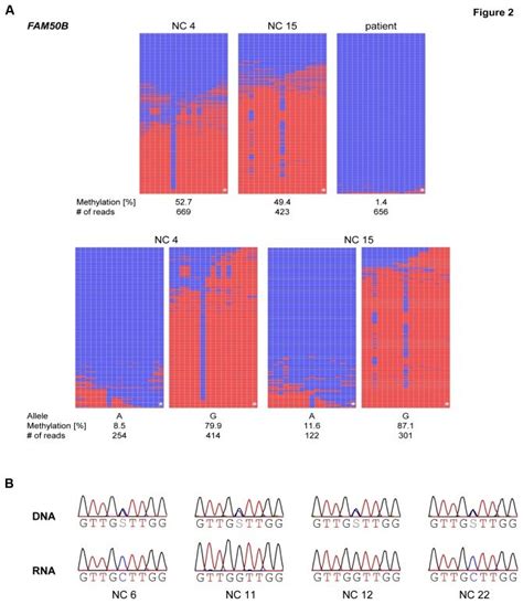 a) Methylation analysis. The figure shows the results of the ...