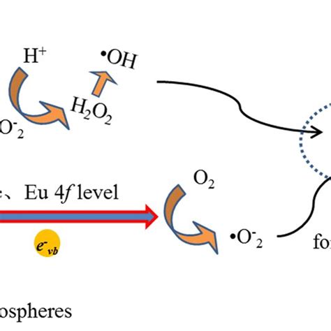 Schematic of photocatalysis mechanism | Download Scientific Diagram