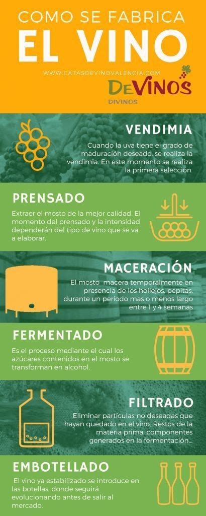 Cómo convertirte en un experto en vino Infografías El Cómo de las