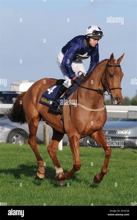 Horse Racing Exeter Racecourse Stock Photo Alamy