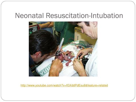 Ppt Neonatal Resuscitation Provider Powerpoint Presentation Free Download Id4502831