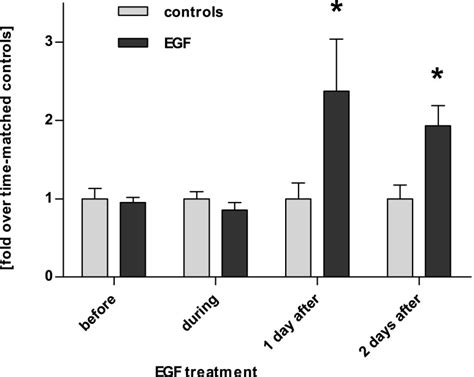 Sex Differences In Renal Proximal Tubular Cell Homeostasis Abstract