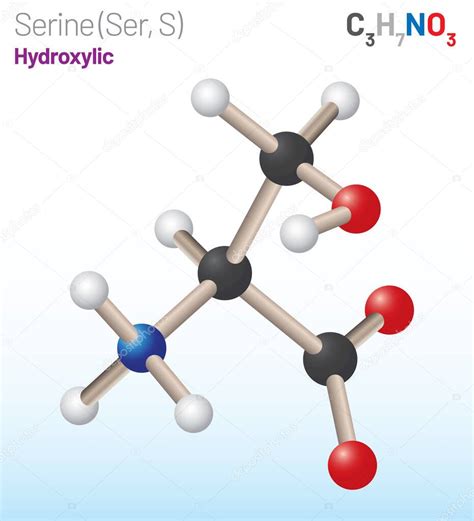 Serina Ser S Mol Cula De Amino Cidos F Rmula Qu Mica C H No Se