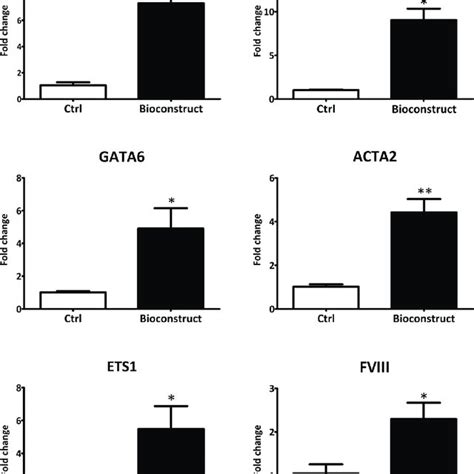 Gene Expression Analysis Of Cardiac Cell Markers In Hcpcs Culterd On