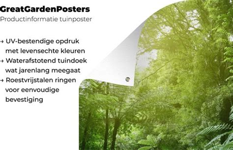 Tuindecoratie Jungle Planten Bladeren Jongens Meisjes