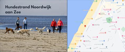 Schönsten Hundestrände In Holland Und Den Niederlanden CampingNerd