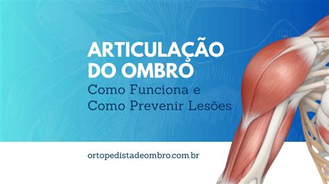 Articulação Do Ombro Como Funciona E Como Prevenir Lesões