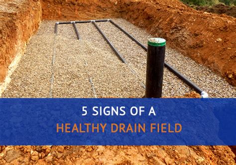 5 Signs Of A Healthy Drain Field Advanced Septic Services