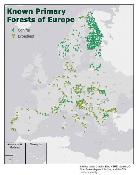 Primary and Secondary Forests: the differences to know. — Kaltimber ...