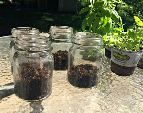 Mason Jar Herb Garden Sometimes Homemade