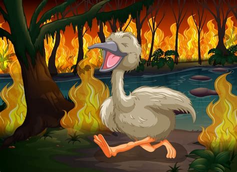 Emu Huyendo De Un Incendio Forestal Vector Premium