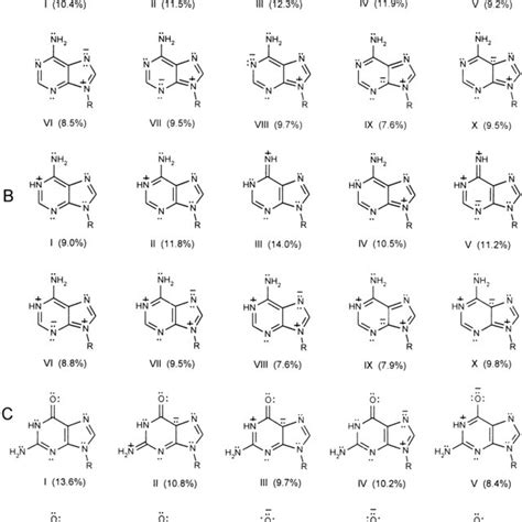 Resonance Structures Of Nucleobases 5 A 6 B And 7 C In Download Scientific Diagram