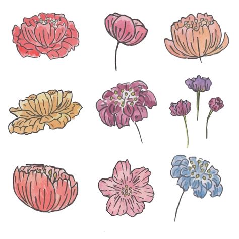 Premium Vector | Set of hand drawn flowers watercolor and liner