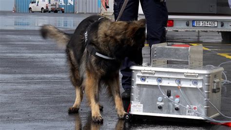 So können Spürhunde im Bremerhavener Hafen noch besser Drogen