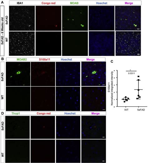 Spatial Proteomics In Three Dimensional Intact Specimens Cell