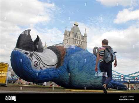 Monty python dead parrot sketch hi-res stock photography and images - Alamy