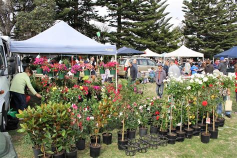 Rye Foreshore Market Mornington Peninsula Shire