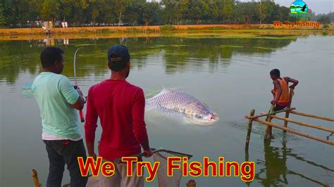 বড় কাতলা মাছ শিকার করল মুক্তাগাছা পুকুর থেকে । Hunting And Fishing