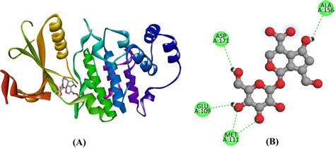 Interaction Of Bioactive Compound Deacetylasperulosidic Acid With Download Scientific Diagram