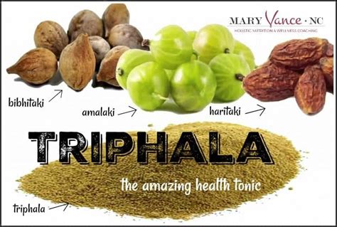 Top 5 Triphala Benefits - Mary Vance, NC